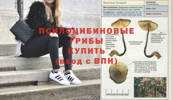 наркотики Заволжск