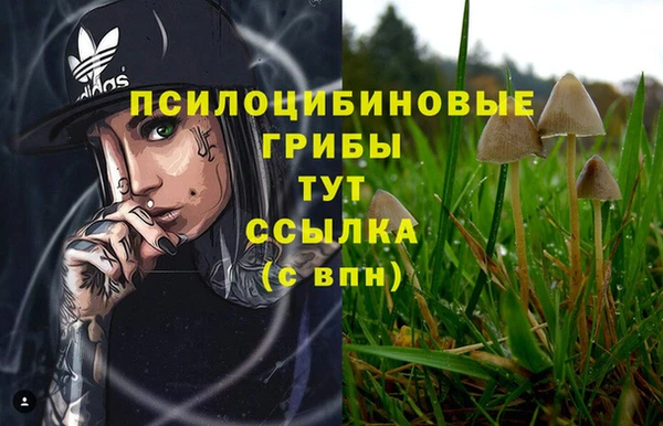 соль ск Липки