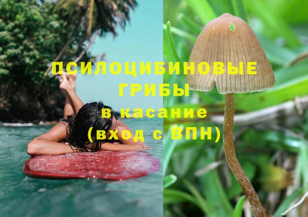 соль ск Липки