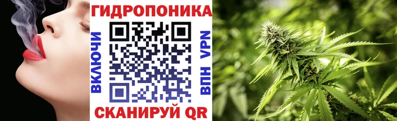 Бошки марихуана OG Kush  Саянск 